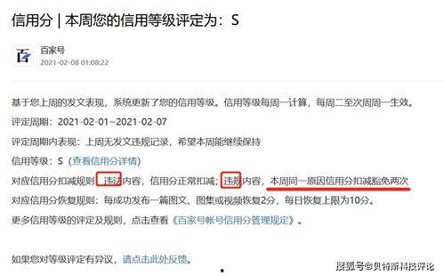 小团宠头条号文章,带你走进萌宠世界的精彩瞬间